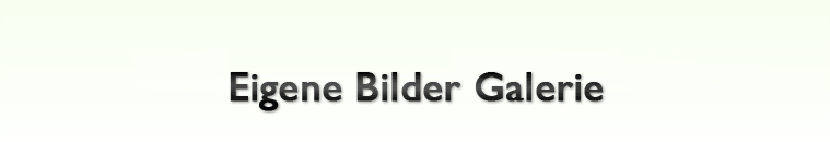 Eigene Bilder Galerie