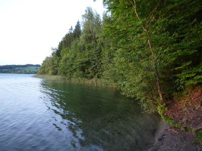 http://www.kostenlose.homepage.eu/userdaten/9/100078779/bilder/keutschach/bild_790.jpg