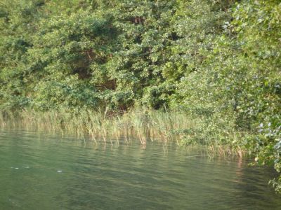 http://www.kostenlose.homepage.eu/userdaten/9/100078779/bilder/keutschach/bild_791.jpg